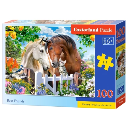 PUZZLE CASTOR 100 el. Best Friends